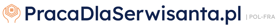 Kursy online - pracadlaserwisanta.pl